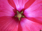 massages femme enceinte, massage post-natal, soin rebozo Savoie, Aix-les-Bains, Annecy, Chambéry, Belley, Seyssel, Chindrieux