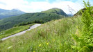  Bilder