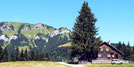  Berghoferwald Alpe Kapf Sonthofen