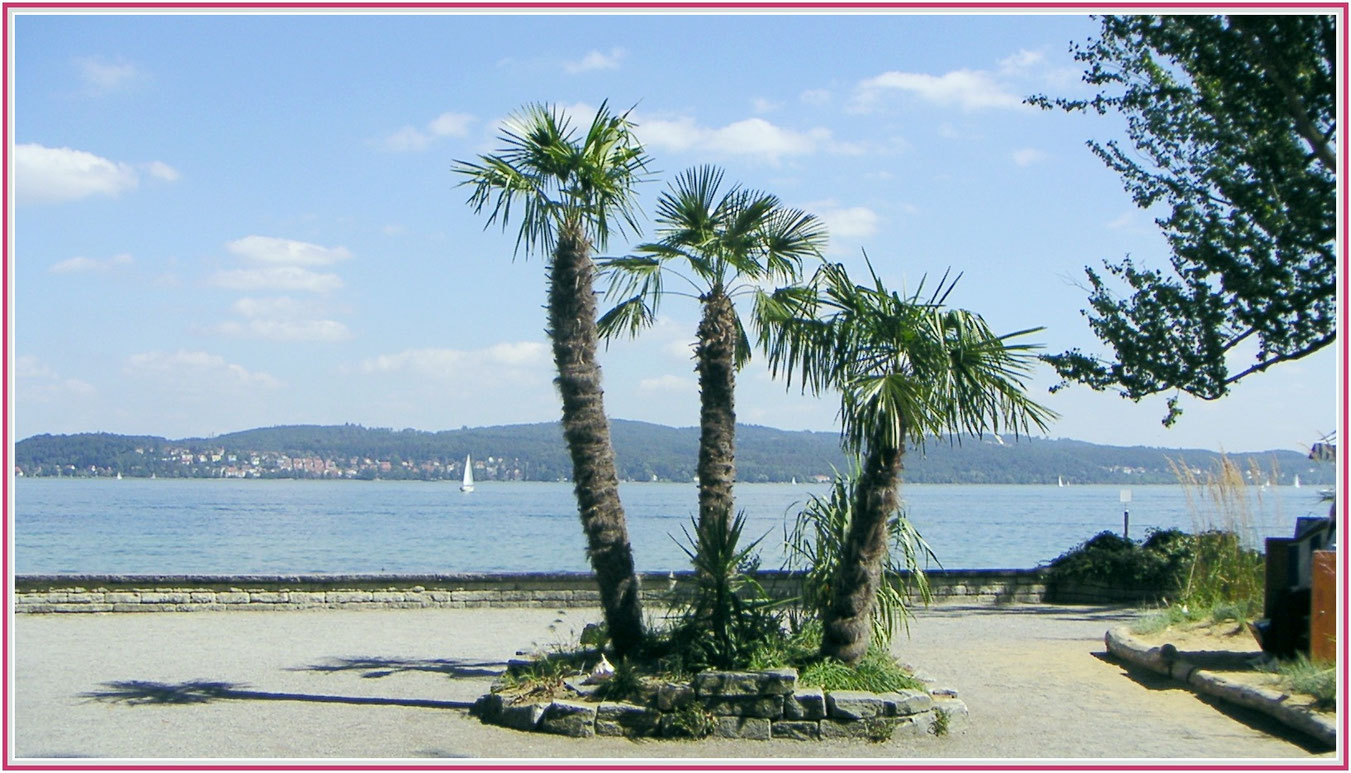 Insel Mainau, Bodensee Baden Württemberg