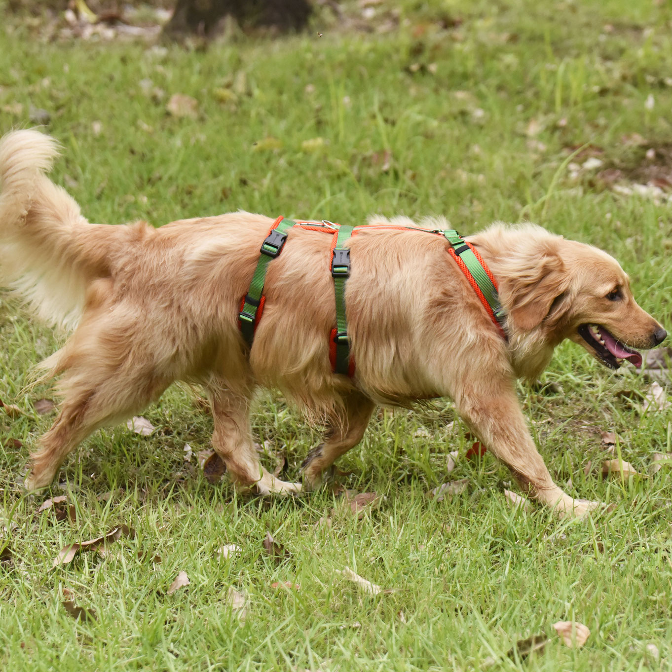 Sicherheitsgeschirr für Hunde ausbruchsicheres Hundegeschirr im