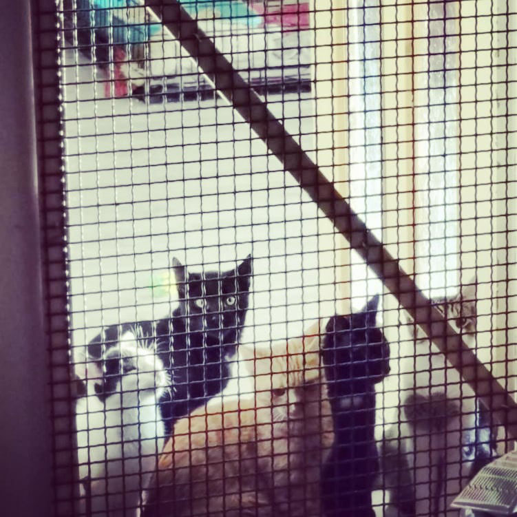 ♀️