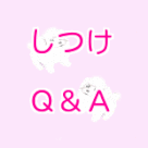 家庭犬しつけってどんなもの？