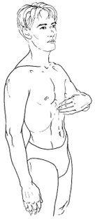 Fig. 1.3 - Diaphragme (point haut)