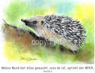 christliche Karten, Igel