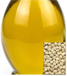 #que propiedades tiene el aceite de moringa? Para mas información sobre el aceite de Moringa, haga clic en la imagen, #aceitedemoringa, aceite de moringa, aceite esencial, aceite, comprar aceite de moringa, propiedades del aceite de moringa