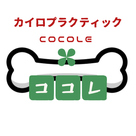 岡崎市・女性専用整体｜カイロプラクティック ココレ