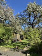 Cabin S / Tiny House