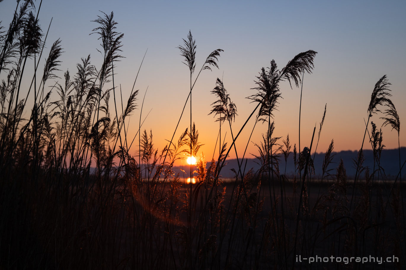 Sonnenaufgang über der St-Petersinsel am Bielersee.