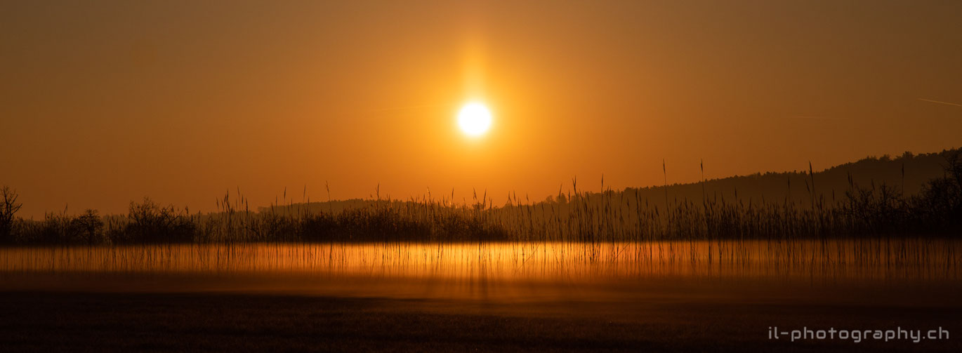 Sonnenaufgang über der St-Petersinsel am Bielersee.