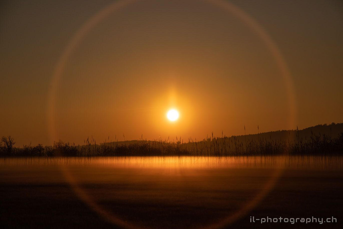 Sonnenaufgang über der St-Petersinsel am Bielersee.
