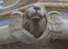 Le lion de Saint Marc