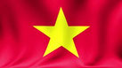 Vlag van Vietnam