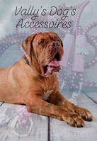 vallys-dogs-accessoiress Webseite!