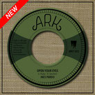 INES PARDO, LONE ARK RIDDIM  Take A Look / Dub  Label: Ark (7")
