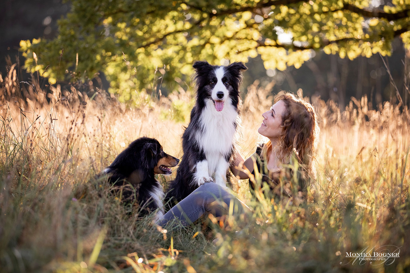 Hundefotografie, Fotoshooting mit Hund, Bayern, Monika Bogner Photography, Aussie, Mensch und Hund