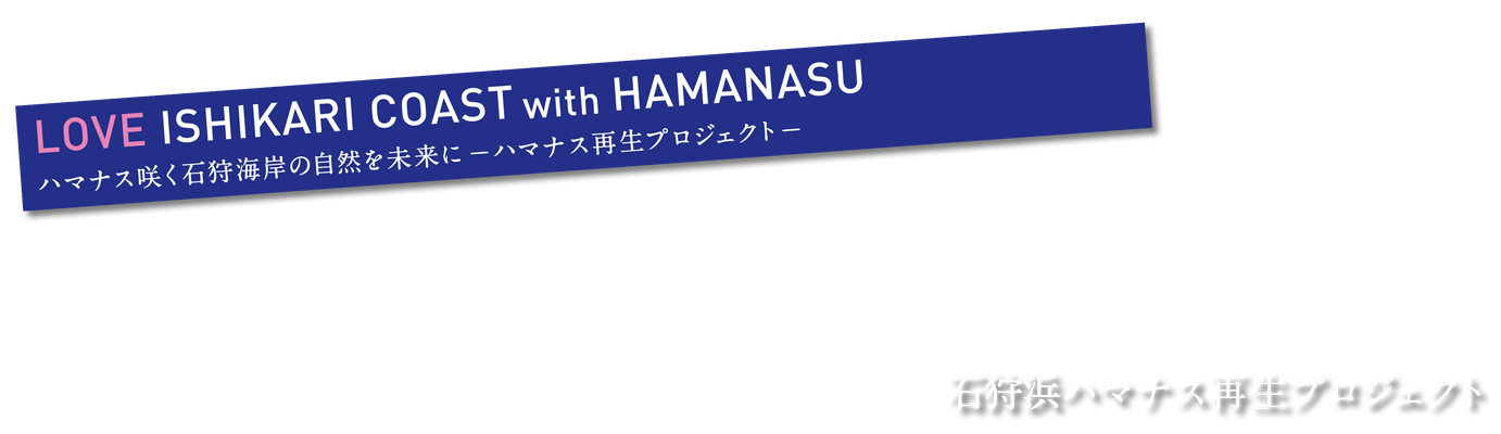 ishikarihamanasu ページ!