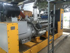 Generadores a biogas