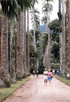 Jardim Botânico.