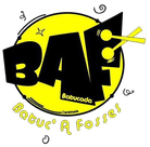 La BAF, Batuc' à Fosses - Association Zé Samba