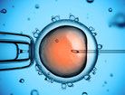 ©koya979-Fotolia