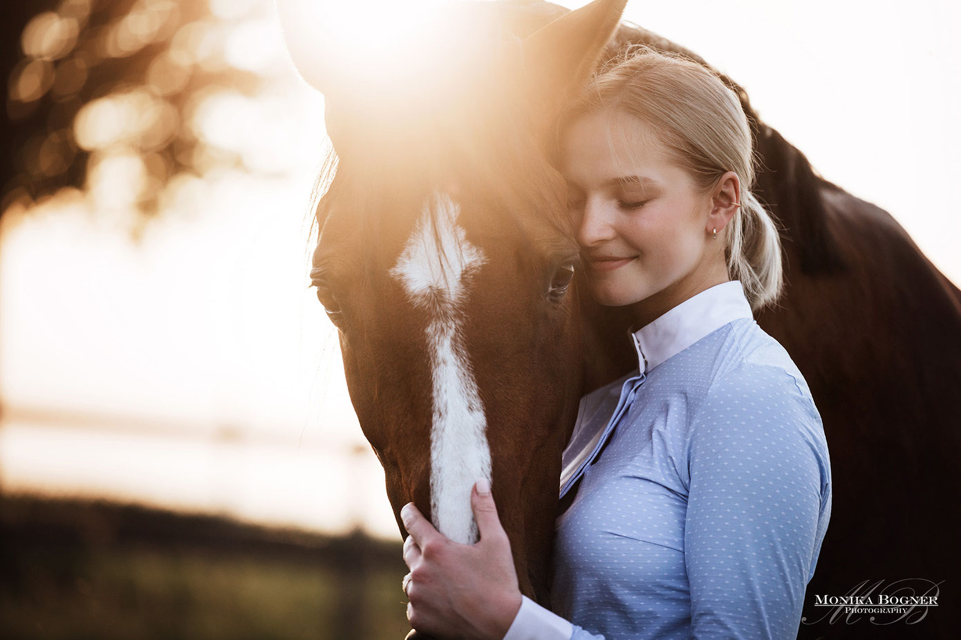 Warmblut, Springpferd, Sonnenuntergang, Reitsport, Pferdefotografie, Monika Bogner Photography, Fotoshooting mit Pferd