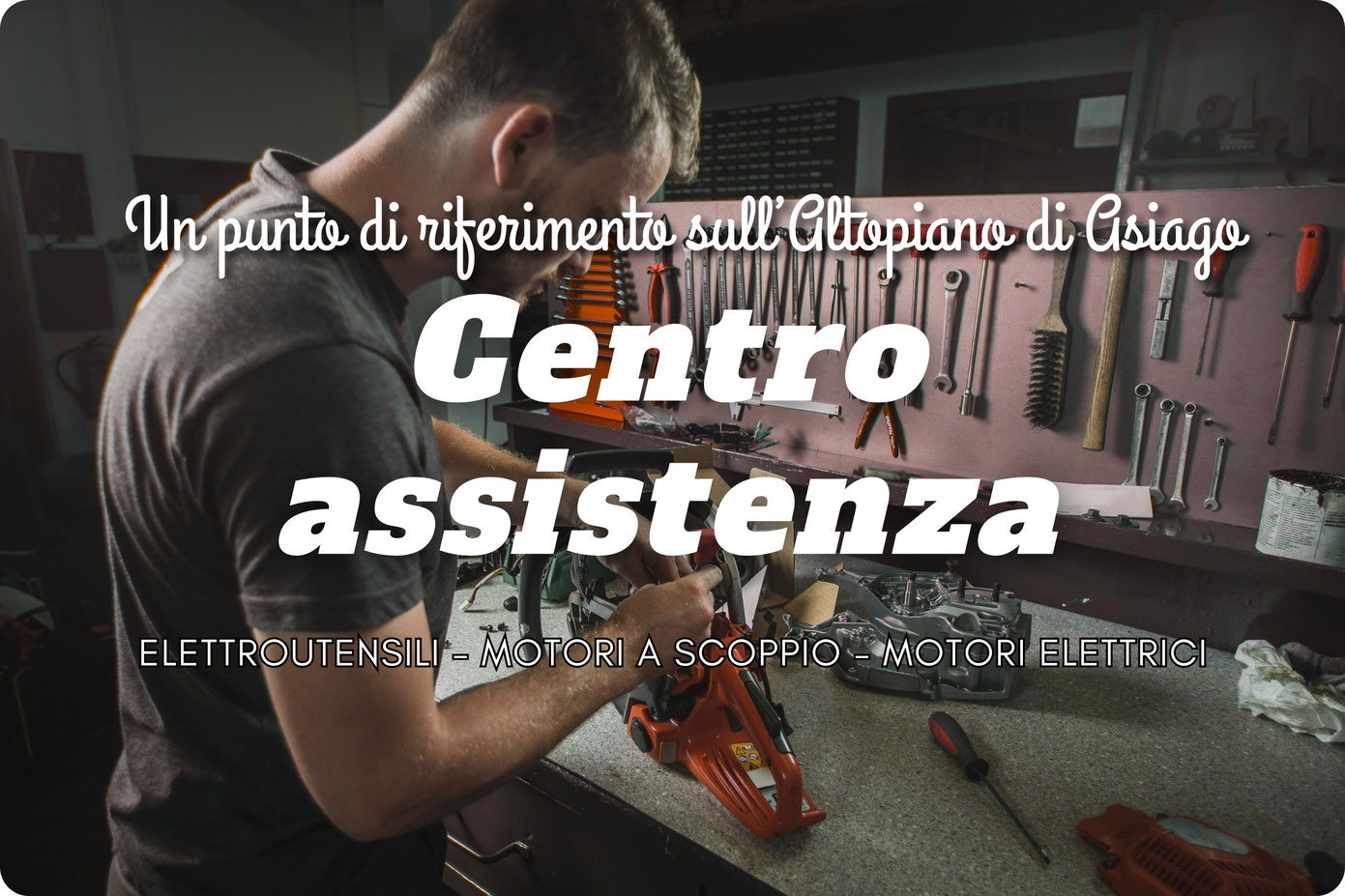 centro assistenza e riparazione - centro assistenza specializzato macchine da giardino - rasaerba - motoseghe - giardinaggio