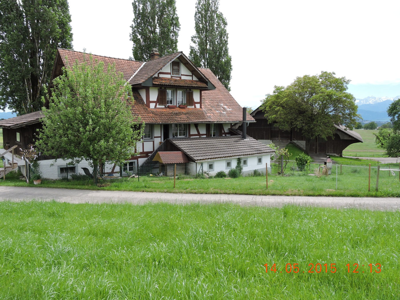 unser Team springerscastles seite!