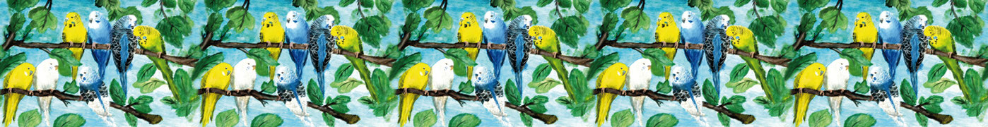Vliesbordüre mit vielen Wellensittichen auf Ästen in Pastellkreideart in den Farben blau, grün, gelb, Originalmotiv wurde liebevoll von mir per Hand gemalt