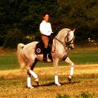 L'Ecole Des Chevaux