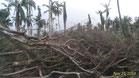 Cyclone Gaja