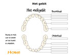 het gebit (computermeester(L3)