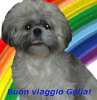 Roby De Luca canta Mina e non solo