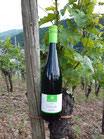 Nr. 6/25 - 2024er - Scheurebe feinherb 0,75 ltr.