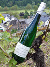 Nr. 19/23 - 2022er -  Riesling Kabinett trocken Ellerer Bienenlay 0,75 ltr.