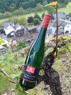 Nr. 11/24 - 2023 - Ellerer Bienenlay Riesling Spätlese 0,75 ltr.