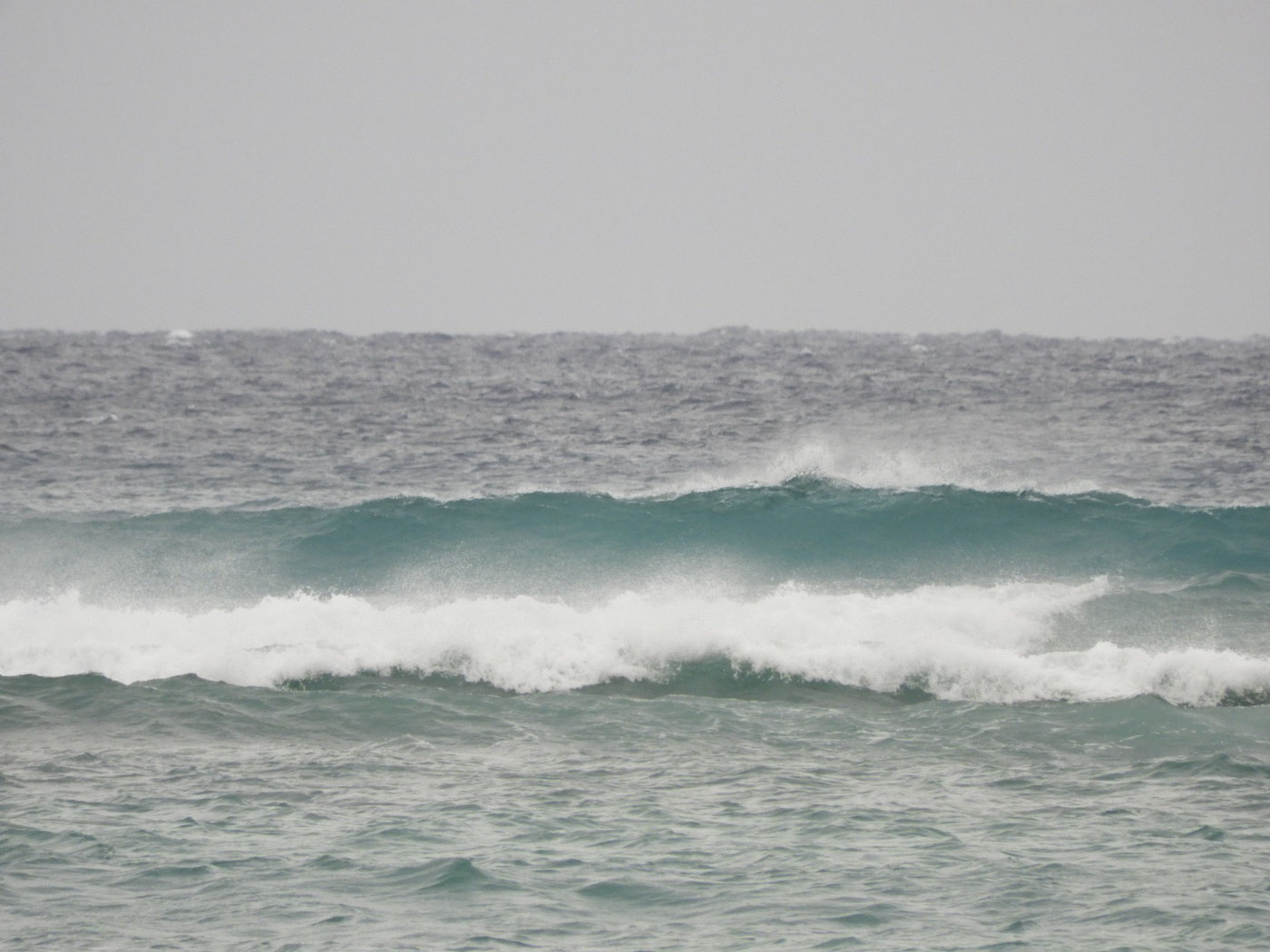 World Longboard Championships ハワイ ワイキキ サーフショップ KAION （カイオン） at