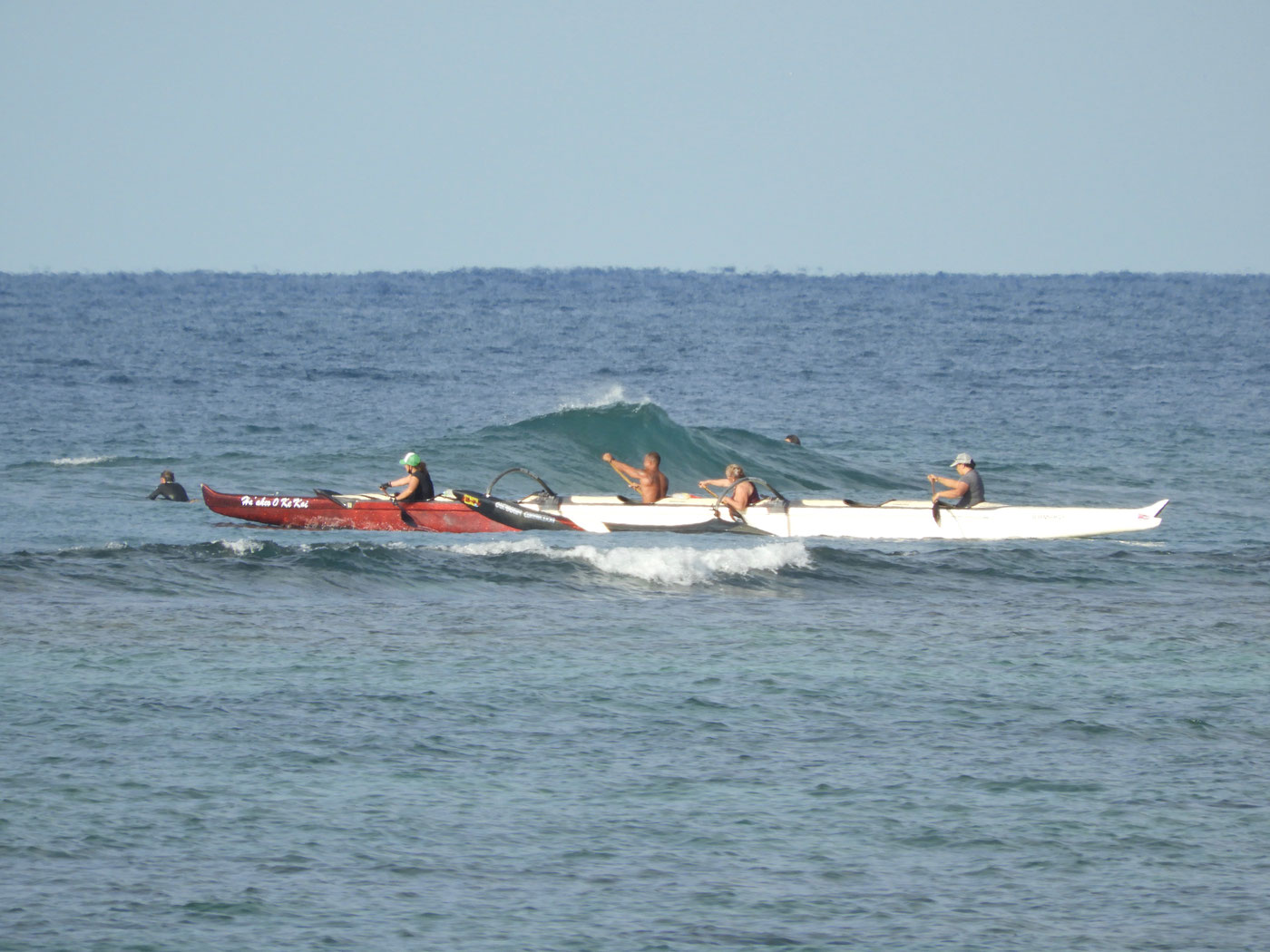 Box Jellyfish ハワイ ワイキキ サーフショップ KAION （カイオン） at WAIKIKI SHORE 公式サイト｜日本