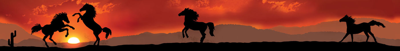 romantische Wandbordüre mit schwarzen Wildpferd Silhouetten vor rotem Sonnenuntergang - Hergestellt in Deutschland - meinBordürenladen