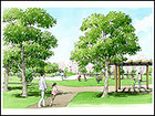 公園パース