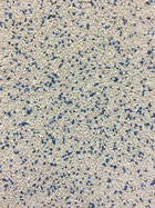 Farbmuster H10 weiß-blau