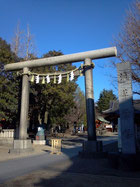 三社祭浅草神社注連縄