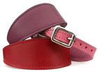 Leather Collars
