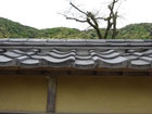 2017/05 PHOTO