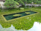 2017/07 PHOTO