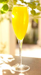 Mimosa