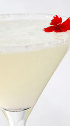 Lemon Drop Martini