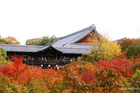 京の秋冬（紅葉）