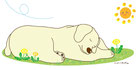 ２月の絵手紙