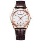 This is a CITIZEN エコ･ドライブ ワン AQ5012-14A  product image